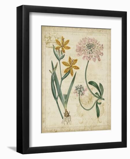 Botanical Repertoire I-Vision Studio-Framed Art Print