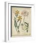 Botanical Repertoire I-Vision Studio-Framed Art Print