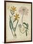 Botanical Repertoire I-Vision Studio-Framed Art Print