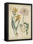 Botanical Repertoire I-Vision Studio-Framed Stretched Canvas