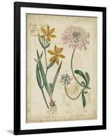 Botanical Repertoire I-Vision Studio-Framed Art Print