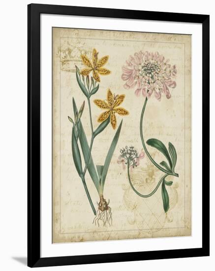 Botanical Repertoire I-Vision Studio-Framed Art Print