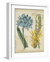 Botanical Repertoire II-Vision Studio-Framed Art Print