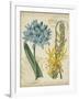 Botanical Repertoire II-Vision Studio-Framed Art Print