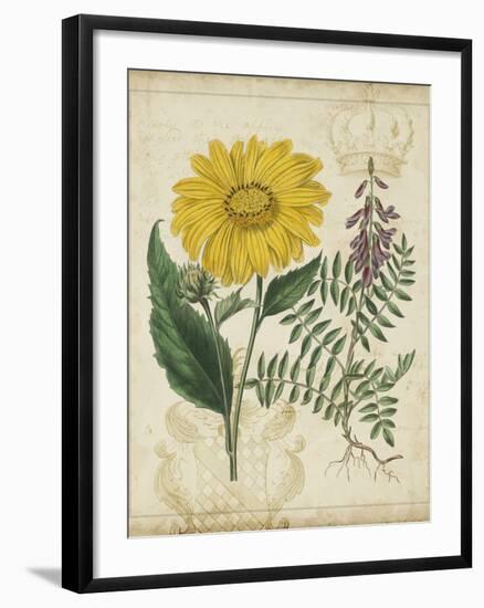 Botanical Repertoire III-Vision Studio-Framed Art Print