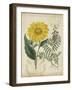 Botanical Repertoire III-Vision Studio-Framed Art Print