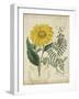 Botanical Repertoire III-Vision Studio-Framed Art Print