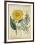 Botanical Repertoire III-Vision Studio-Framed Art Print