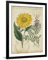 Botanical Repertoire III-Vision Studio-Framed Art Print