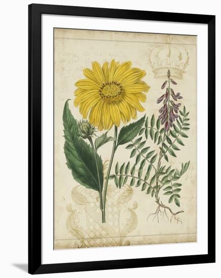 Botanical Repertoire III-Vision Studio-Framed Art Print