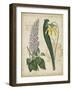 Botanical Repertoire IV-Vision Studio-Framed Art Print