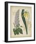 Botanical Repertoire IV-Vision Studio-Framed Art Print