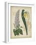 Botanical Repertoire IV-Vision Studio-Framed Art Print