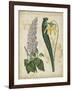 Botanical Repertoire IV-Vision Studio-Framed Art Print