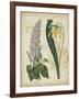 Botanical Repertoire IV-Vision Studio-Framed Art Print