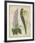 Botanical Repertoire IV-Vision Studio-Framed Art Print