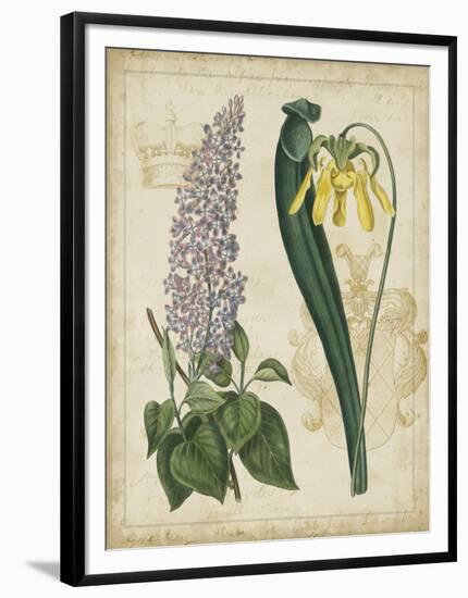 Botanical Repertoire IV-Vision Studio-Framed Art Print