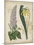 Botanical Repertoire IV-Vision Studio-Mounted Art Print