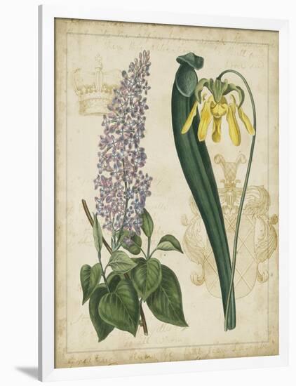 Botanical Repertoire IV-Vision Studio-Framed Art Print