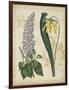 Botanical Repertoire IV-Vision Studio-Framed Art Print