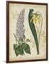 Botanical Repertoire IV-Vision Studio-Framed Art Print