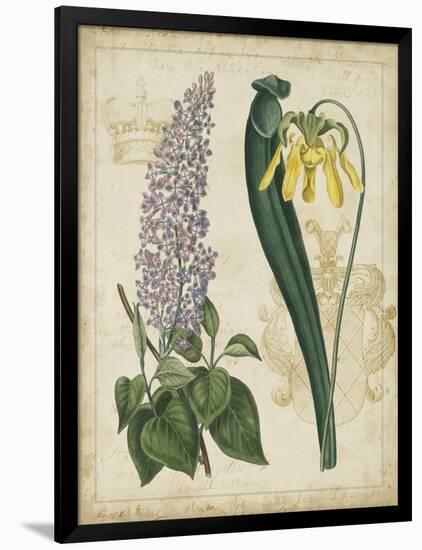 Botanical Repertoire IV-Vision Studio-Framed Art Print