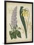 Botanical Repertoire IV-Vision Studio-Framed Art Print