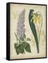 Botanical Repertoire IV-Vision Studio-Framed Stretched Canvas