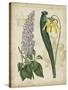 Botanical Repertoire IV-Vision Studio-Stretched Canvas