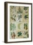 Botanical Sampler I-Vision Studio-Framed Art Print