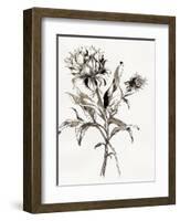 Botanical Seed I-Asia Jensen-Framed Art Print