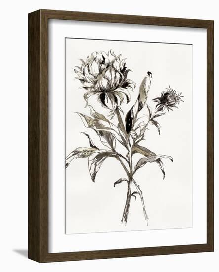 Botanical Seed I-Asia Jensen-Framed Art Print