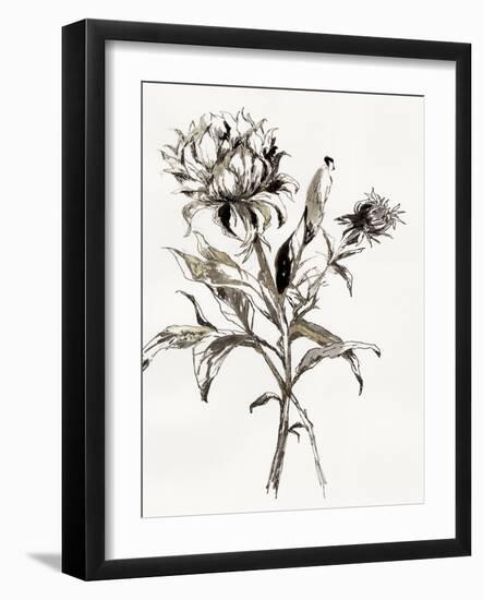 Botanical Seed I-Asia Jensen-Framed Art Print