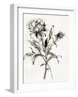 Botanical Seed I-Asia Jensen-Framed Art Print