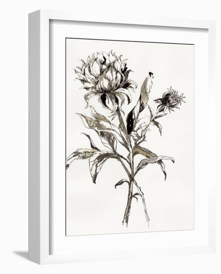 Botanical Seed I-Asia Jensen-Framed Art Print