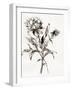 Botanical Seed I-Asia Jensen-Framed Art Print