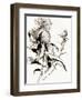 Botanical Seed II-Asia Jensen-Framed Art Print