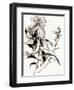 Botanical Seed II-Asia Jensen-Framed Art Print