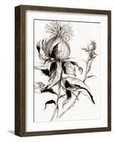 Botanical Seed II-Asia Jensen-Framed Art Print