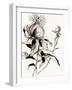 Botanical Seed II-Asia Jensen-Framed Art Print