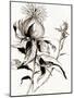 Botanical Seed II-Asia Jensen-Mounted Art Print