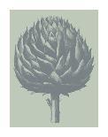 Tulips (Ivory & Gray)-Botanical Series-Art Print