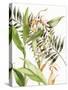 Botanical Shell Ginger-Kathleen Parr McKenna-Stretched Canvas