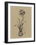 Botanical Sketch Black and White II-Ethan Harper-Framed Art Print