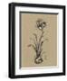 Botanical Sketch Black and White II-Ethan Harper-Framed Art Print