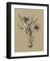 Botanical Sketch Black and White III-Ethan Harper-Framed Art Print