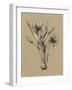 Botanical Sketch Black and White III-Ethan Harper-Framed Art Print