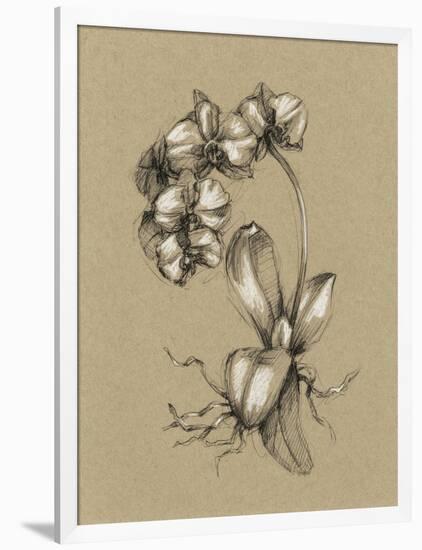 Botanical Sketch Black and White V-Ethan Harper-Framed Art Print