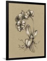 Botanical Sketch Black and White V-Ethan Harper-Framed Art Print