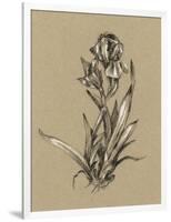 Botanical Sketch Black and White VI-Ethan Harper-Framed Art Print